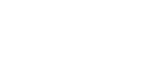 TgBit